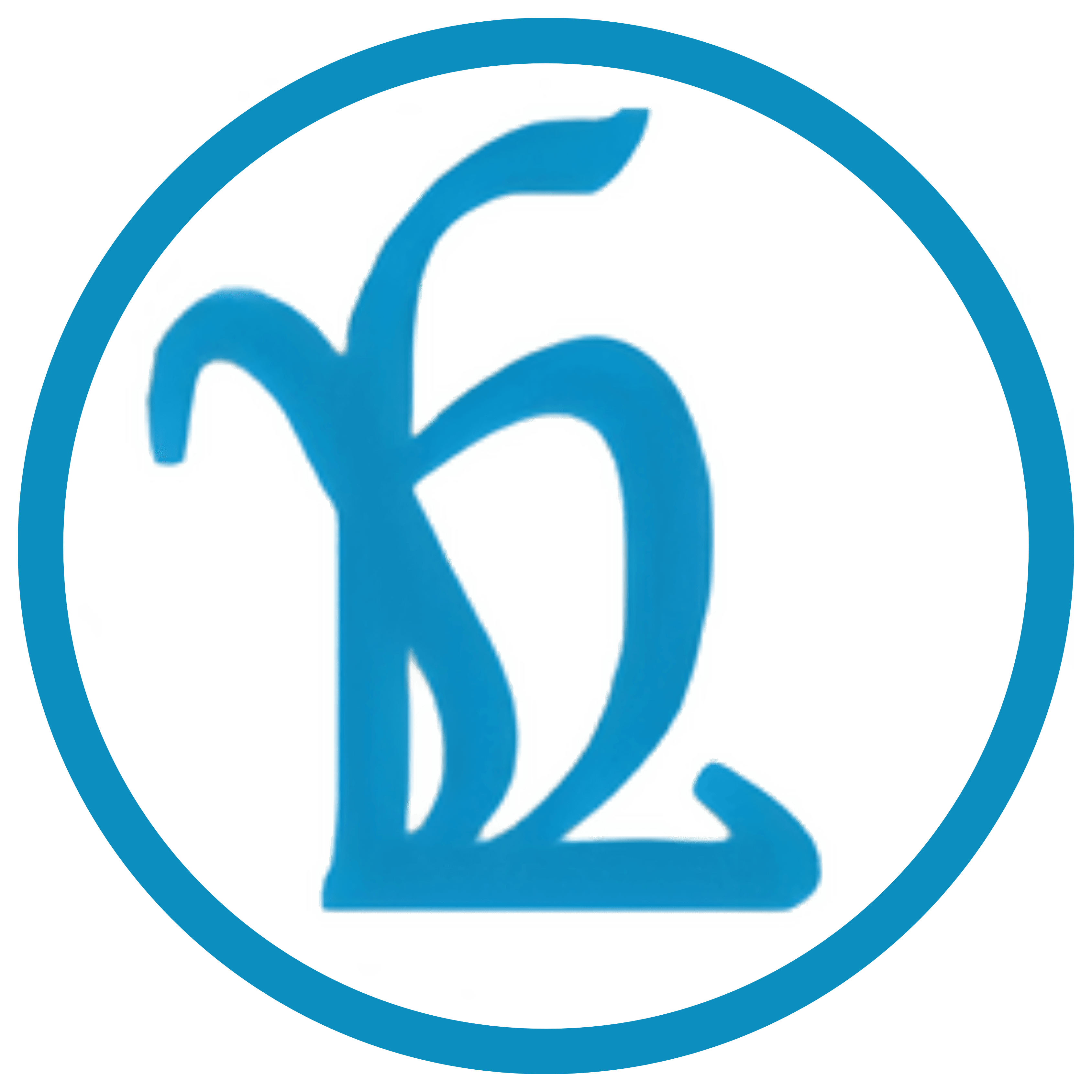 BogaR Labs logo